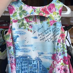 NWT !  Blue and pink Summer dress
